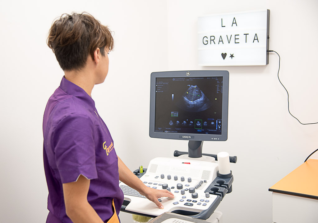 Clinica Veterinaria La Graveta — Del propietario