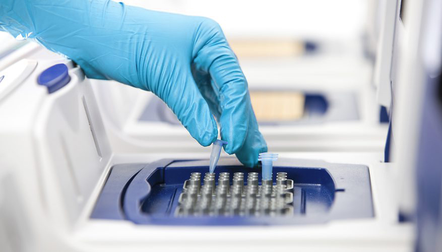 Rho Aqua Lab (RT - qPCR Lab)