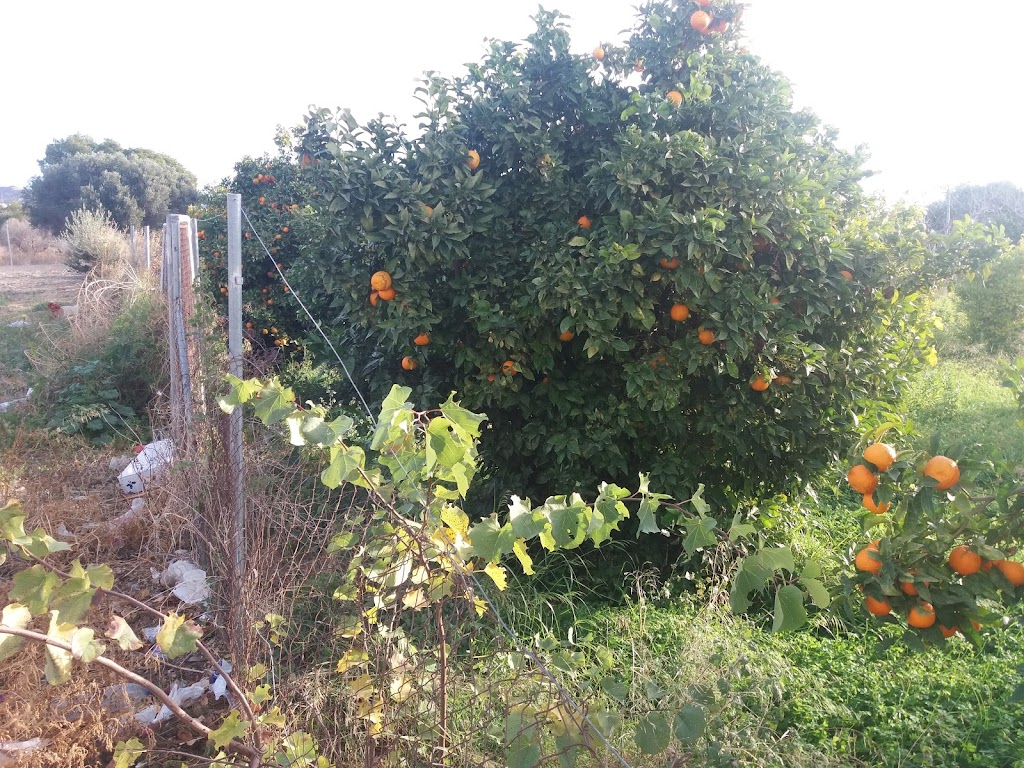 Parque de la Ermita De Monserrat