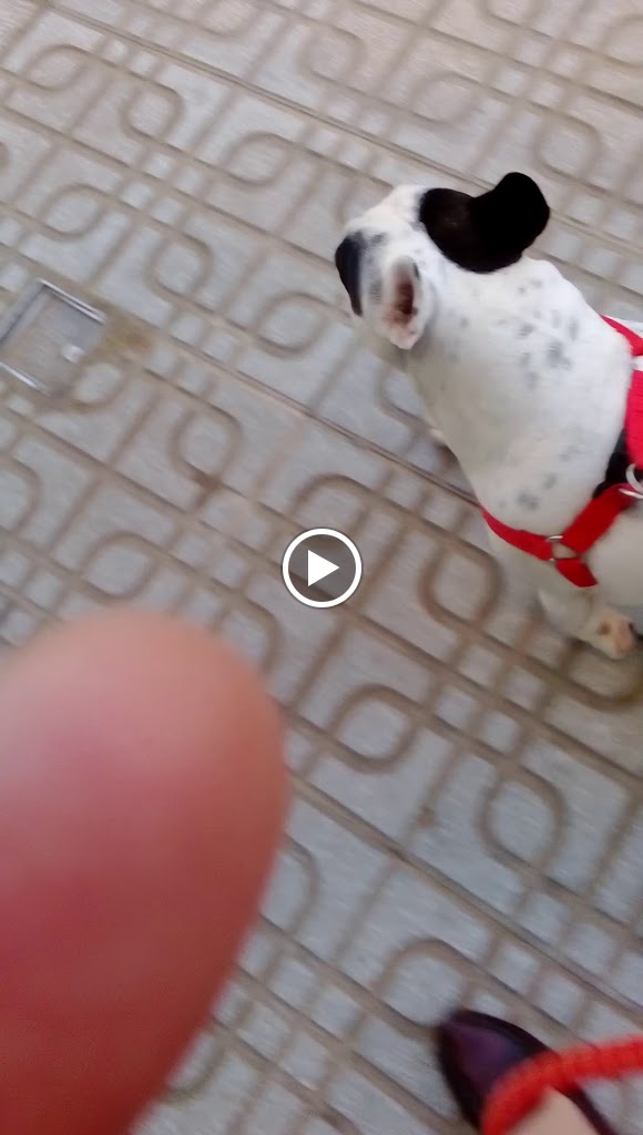 Andana — Videos