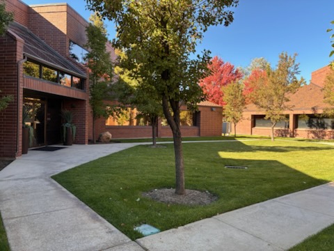  The Exercise Coach - Sandy