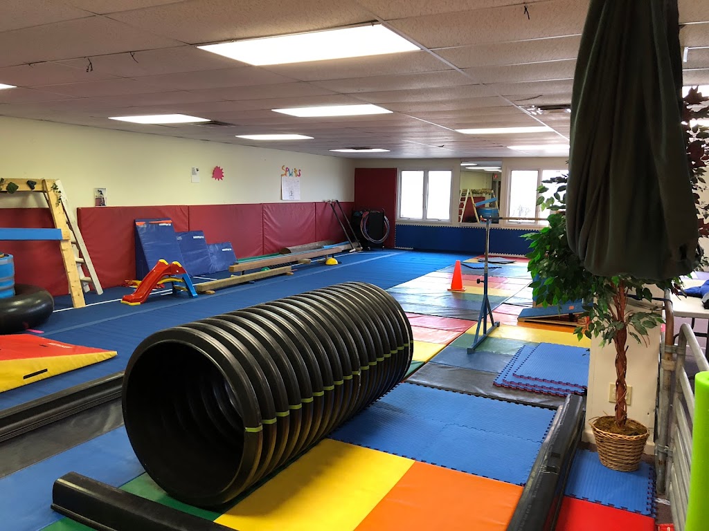  The Jungle Gymnastics Adventure Center