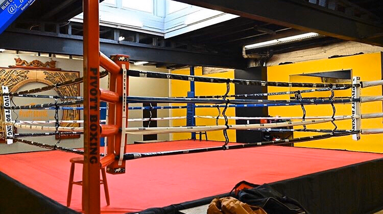  Pivott Boxing Academy