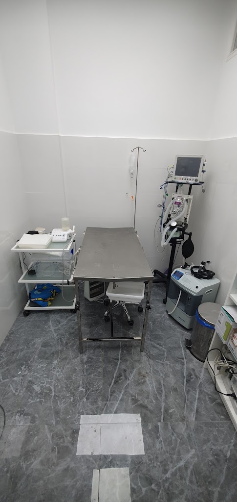 Clinica Veterinaria Barcelona — Del propietario