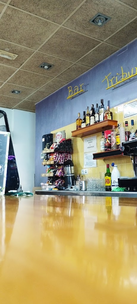 Bar Cerveseria Tribuna — Ambiente
