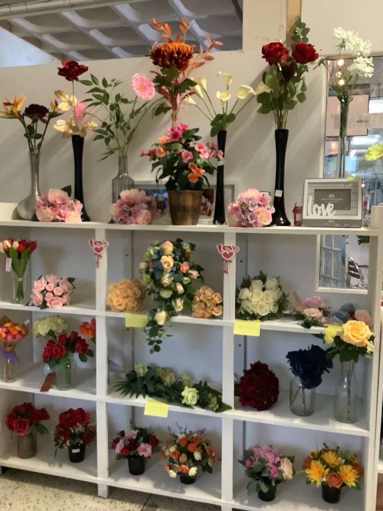 Flowers and Photos