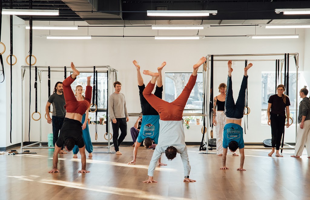  Ape Co Movement School