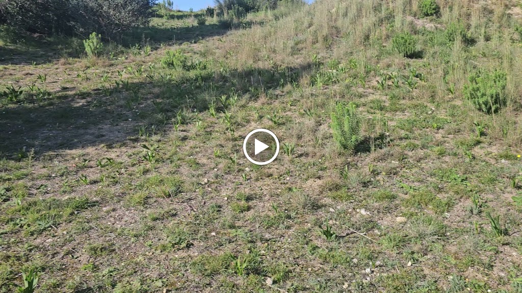 Forte Reentrante da Serra de Albueira / Forte da Rua Nova / Forte da Quintela Reentrante - Obra no 39