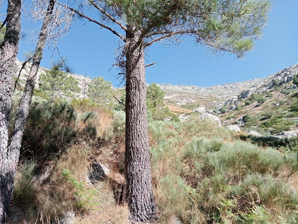 Penon del Mediodia (2219 m)