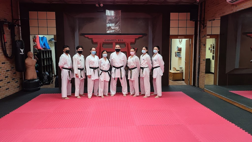  Goshin Ryu Martial Arts & Fitness