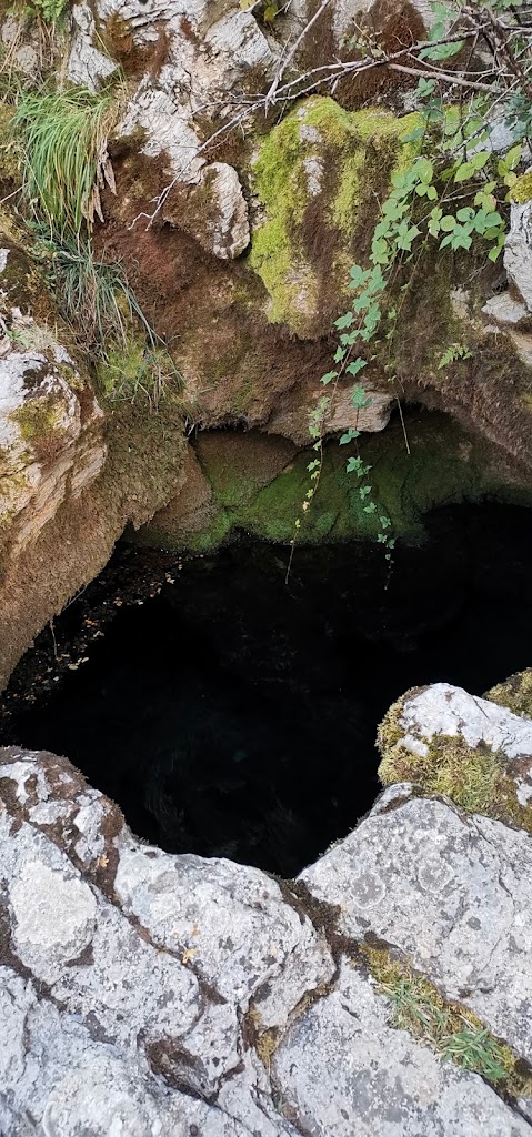 Fuente Deshondonada