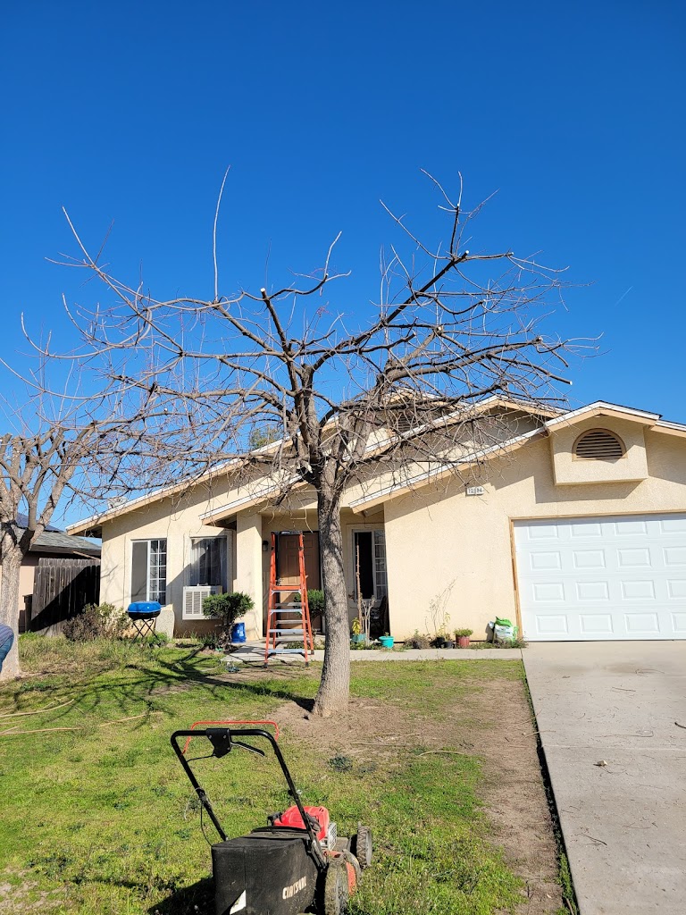 Lawn care service in Dinuba