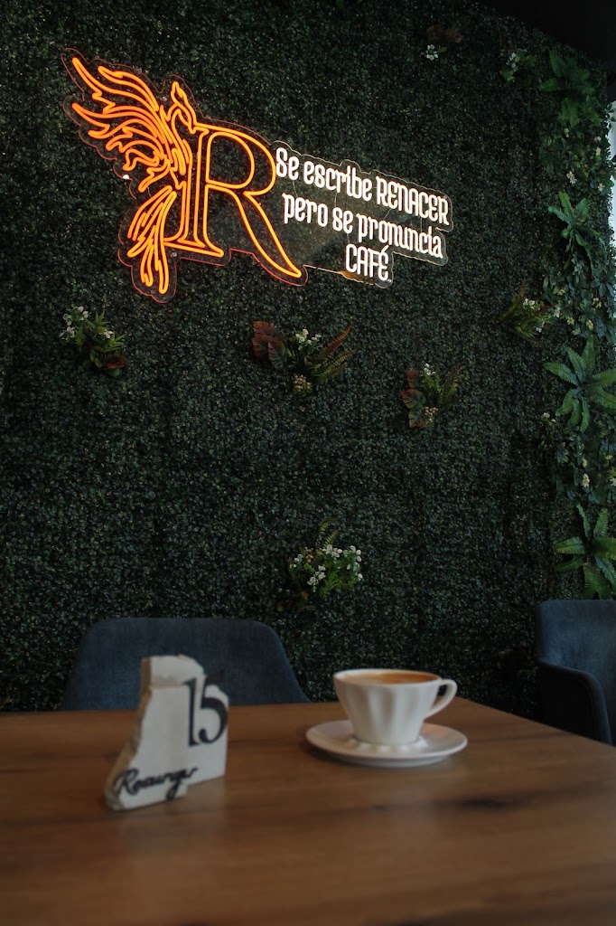 RENACER GASTRO BAR — Del propietario