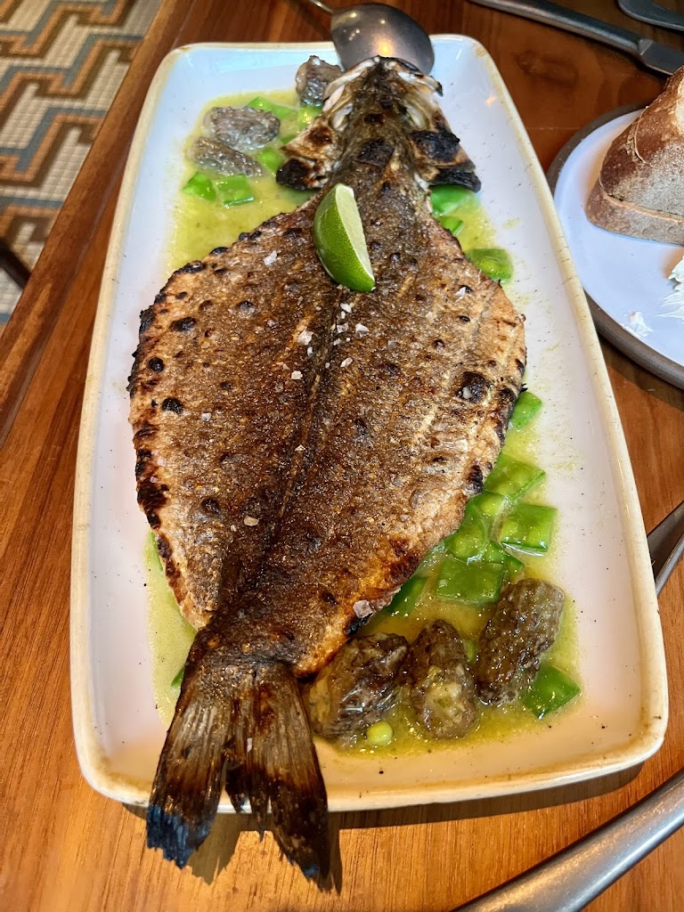 Mackerel