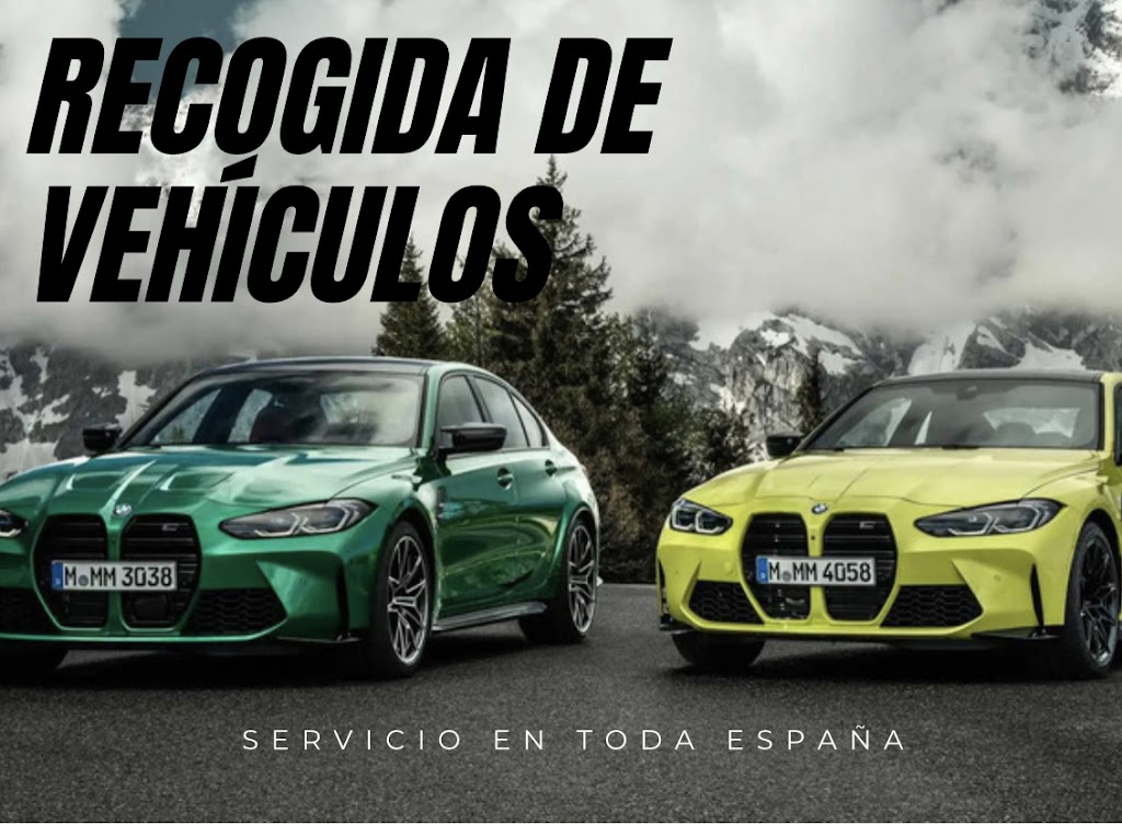 Servicio Automocion