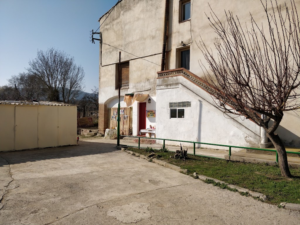 Iniciativa Waldorf De L'anoia