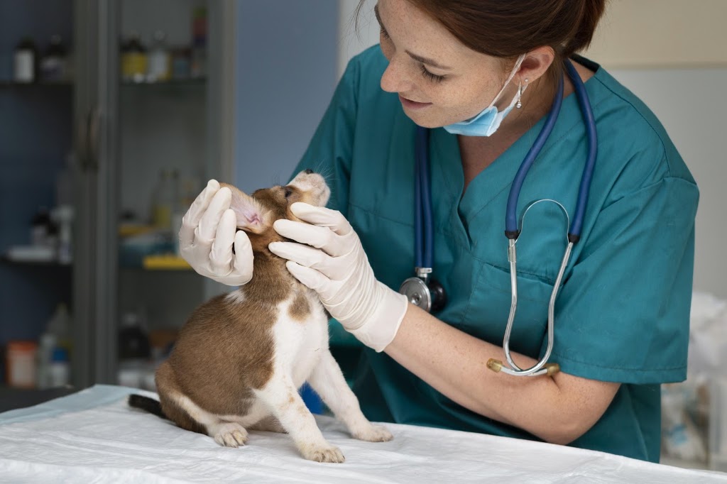 Clinica Veterinaria Puerta del Sur | Mostoles — Del propietario