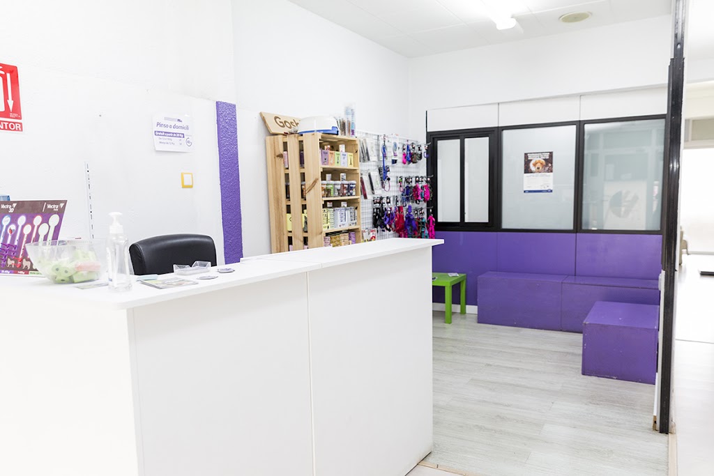 Sant Antoni Veterinari