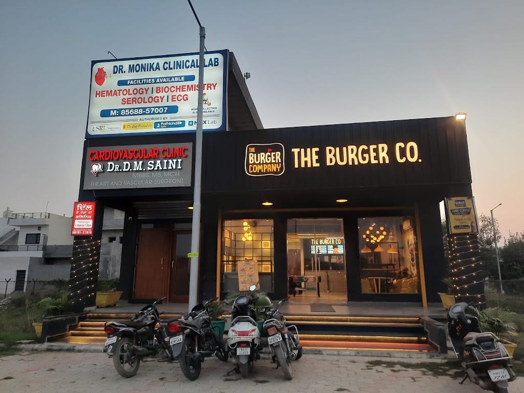 Dr. Dr Dm Saini Cardiovascular Clinic