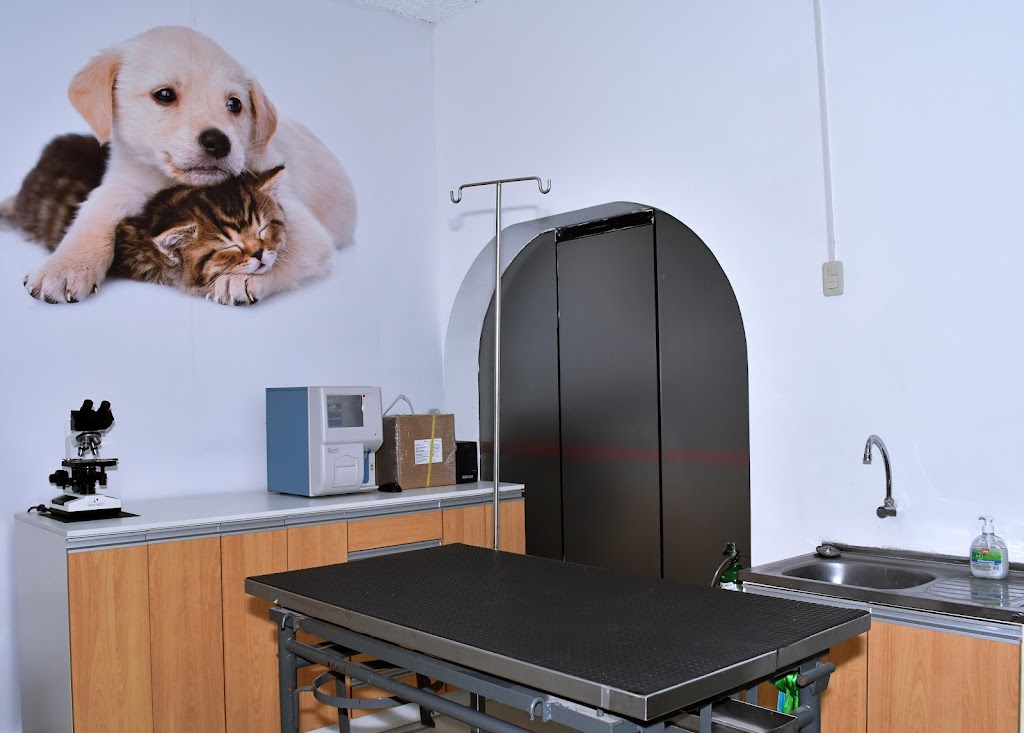 Veterinaria PRIVET en La Molina