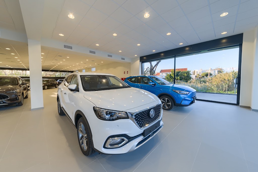 Concesionario Los Barrios | MG Fevimar | Coches Km0, Nuevos y Ocasion — Interior