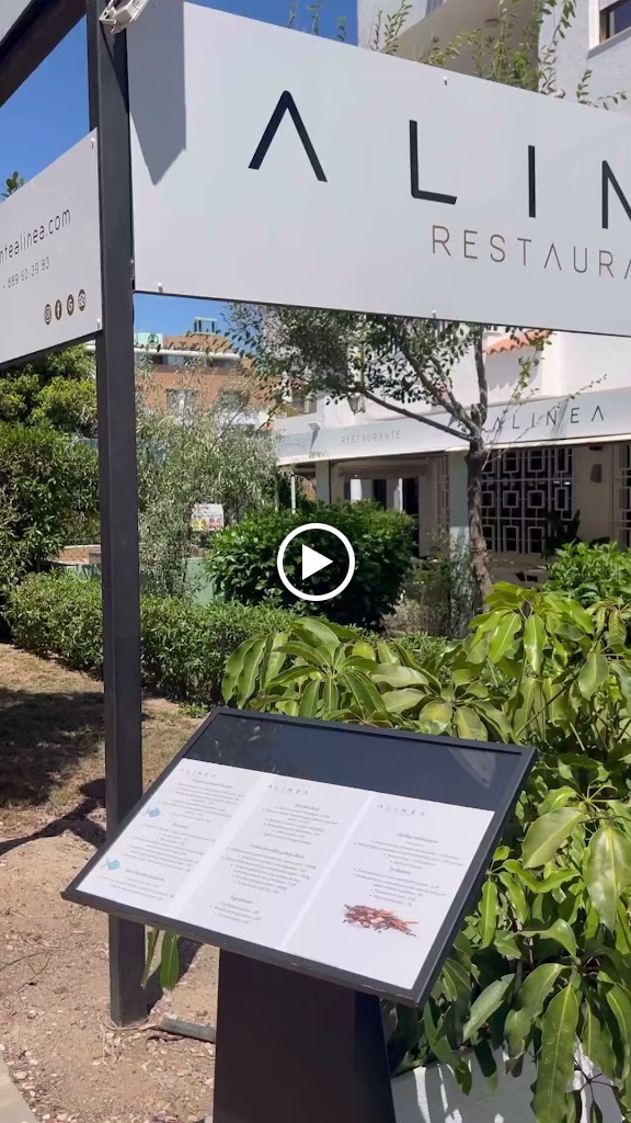 Restaurante Alinea — Videos