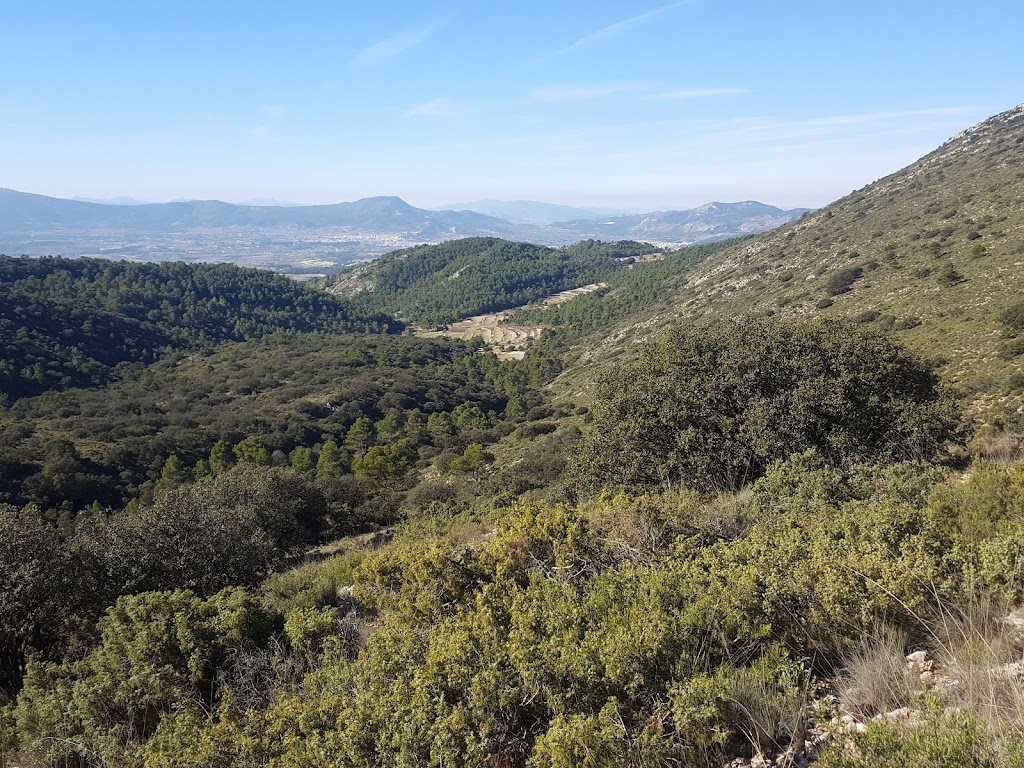 Cava de la Noguera