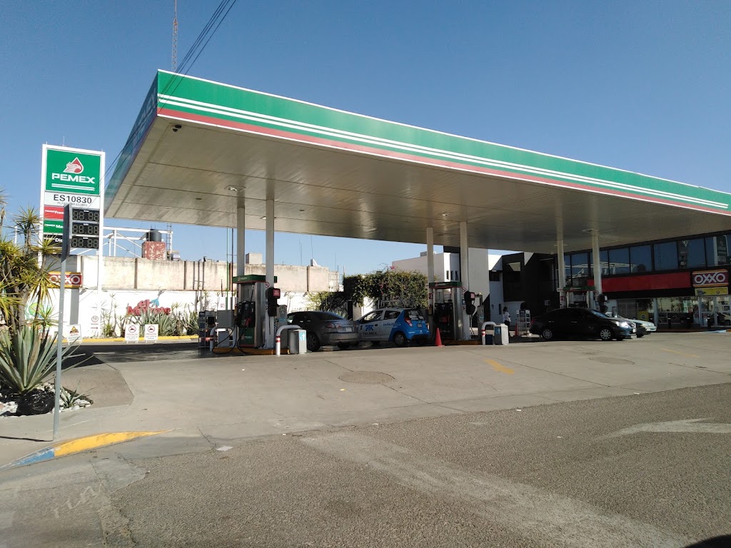 Gasolinera El Moyote — Surtidor de combustible