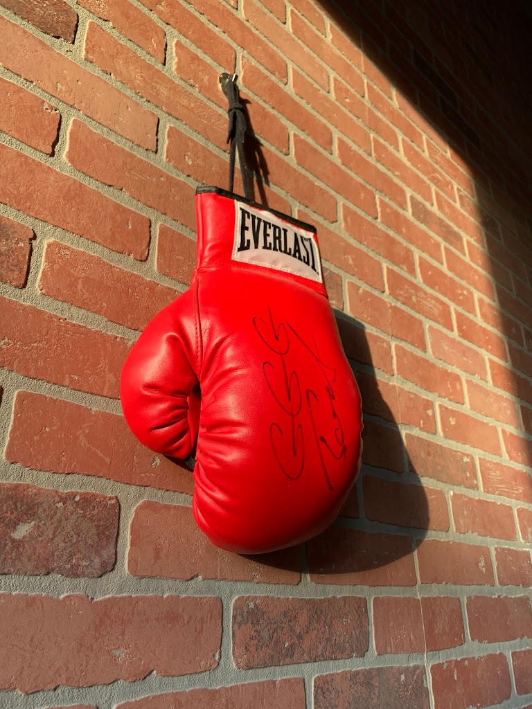  Classic Boxing Coach