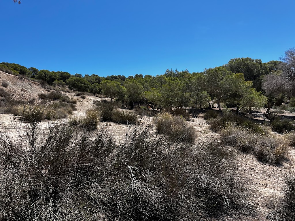 Cuevas del Recorral