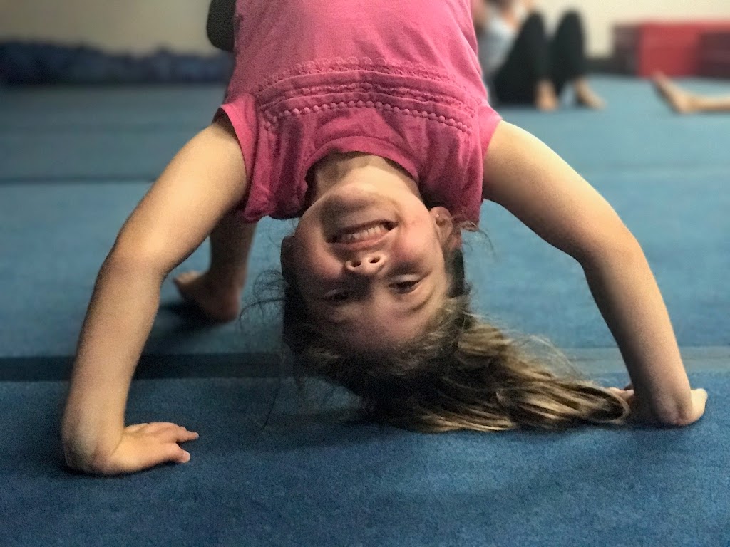  Lone Star Gymnastics Academy