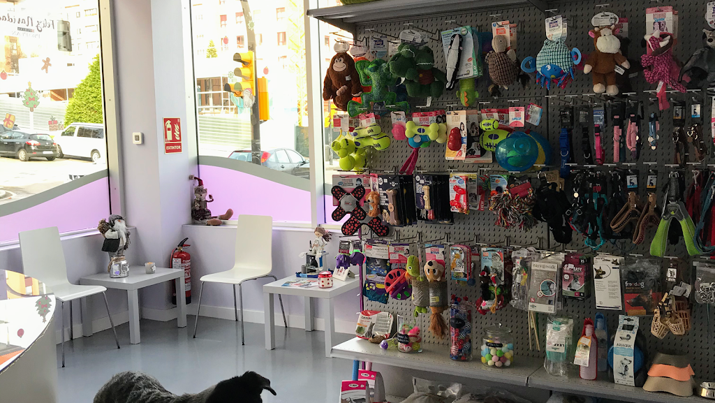 Centro Veterinario Vigil