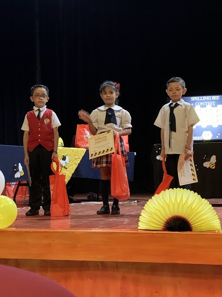 Colegio LDV Business & Arts