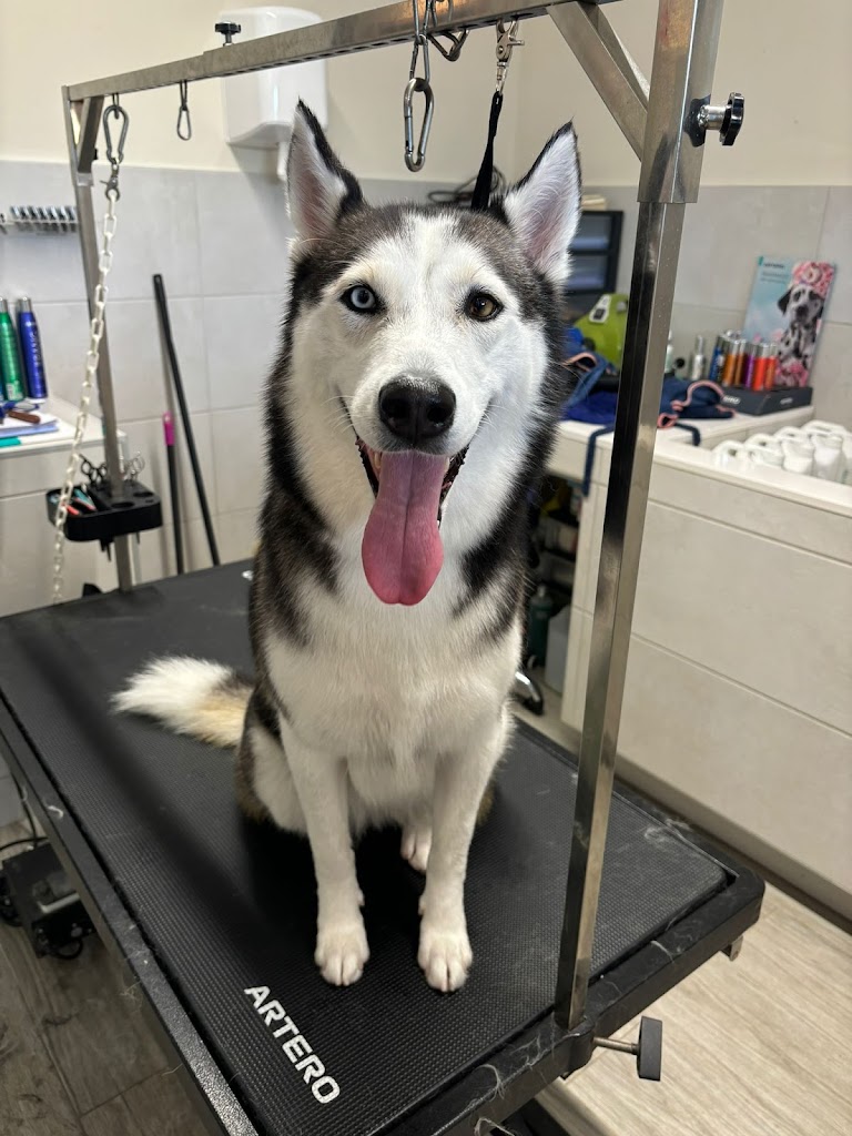 Clinica Veterinaria Can Banach