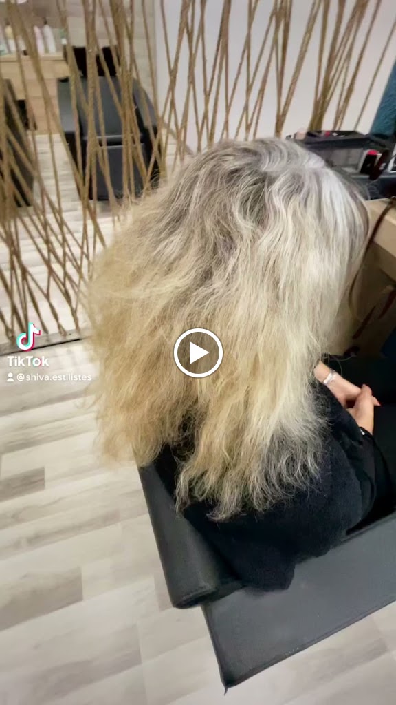 Shiva estilistes — Videos