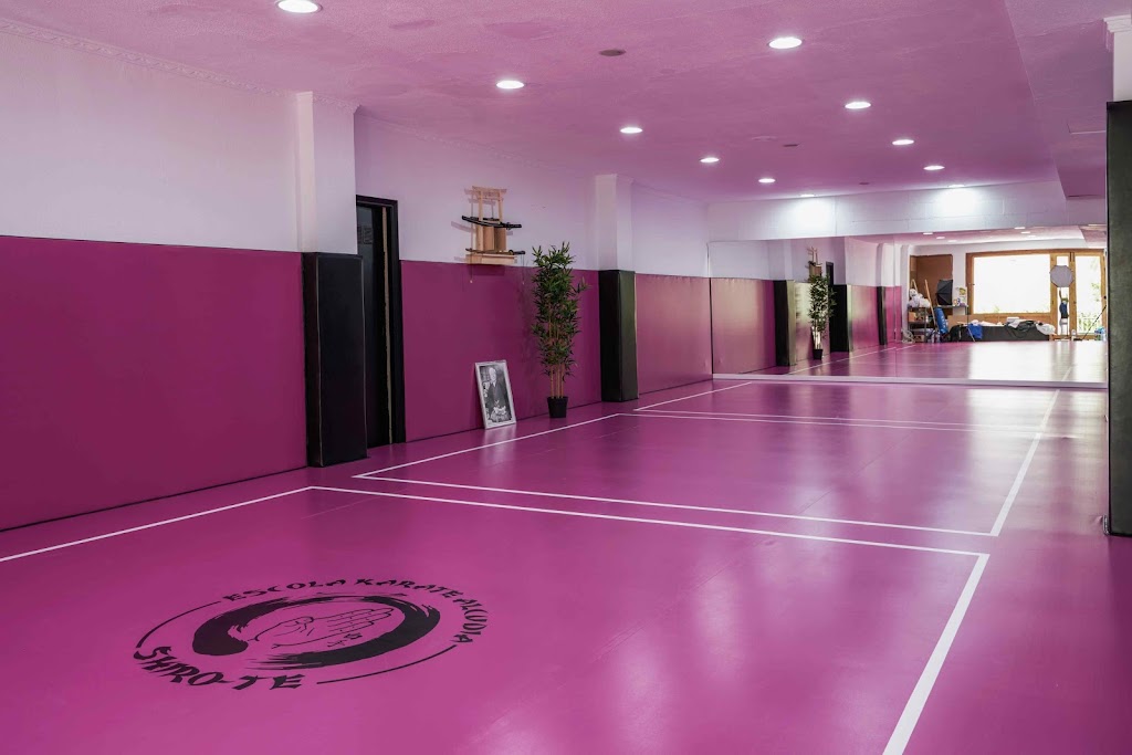 CLUB ARTS MARCIALS SHIRO-TE — Del propietario