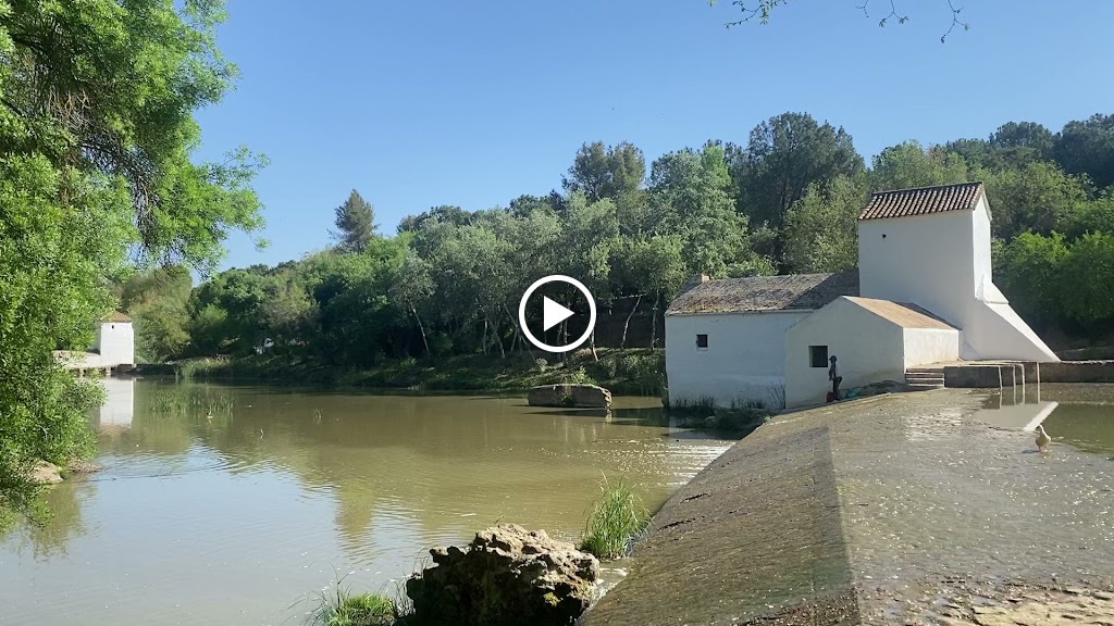 Molinos Alcala — Videos
