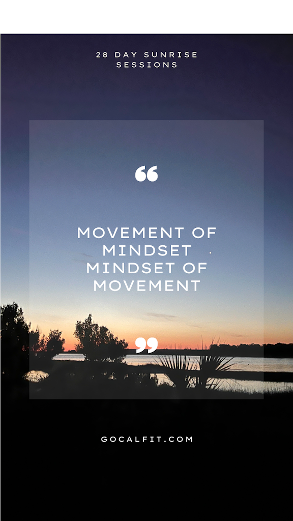  GO CAL FIT - Core Air Life Fitness