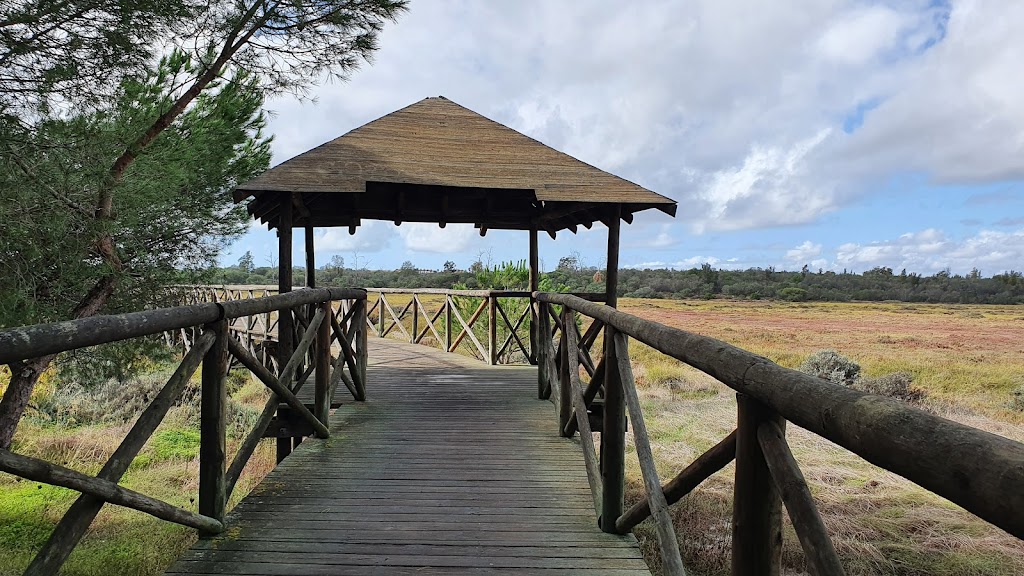 Viaducto Bellavista-Aljaraque
