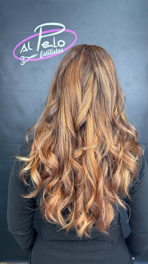 Peluqueria Al Pelo Estilistas
