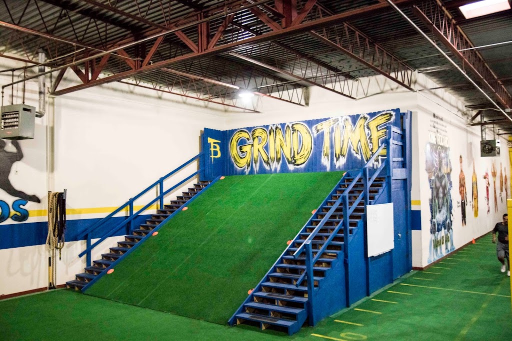  Transforming Bodies & Minds (Elite Sports Training)