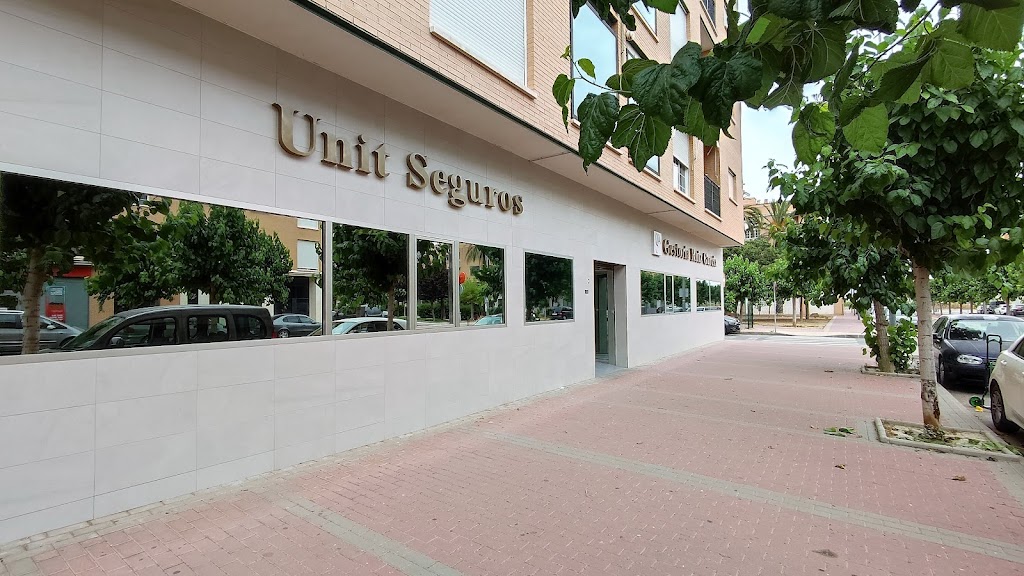 Unit Seguros