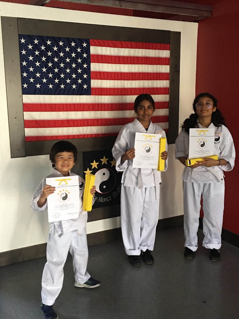  Karate Five Star Alliance Studios