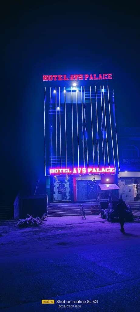 Hotel Avs Palace