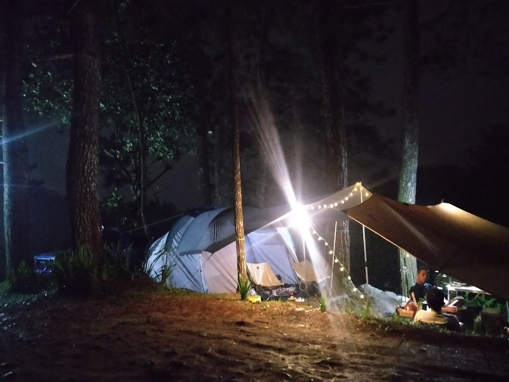 Klaster Pinus, Highland Curug Panjang