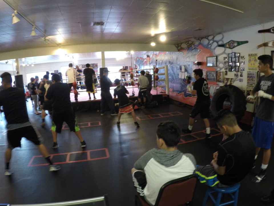 Bound Boxing