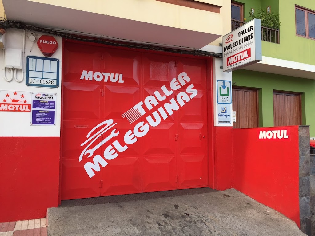 TALLER LAS MELEGUINAS S.L.