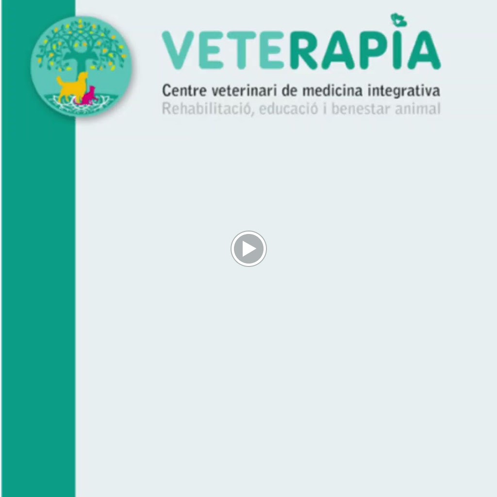 VETERAPIA-Centro de veterinaria integrativa, rehabilitacion, educacion y bienestar animal. — Videos