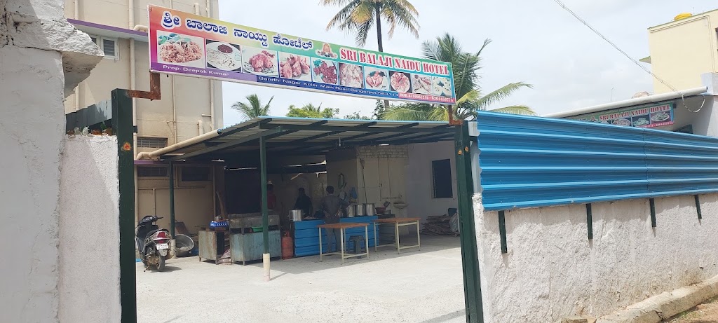 Sri Balaji Naidu Hotel