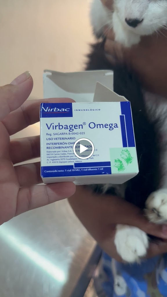Vet to Home — Videos